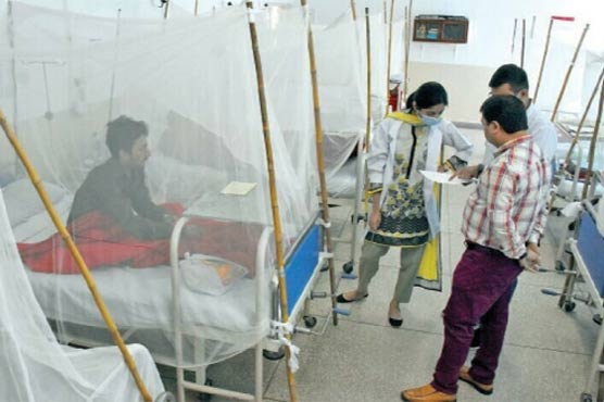 ڈینگی کے وار برقرار، 24 گھنٹوں میں مزید 28 شہری بیمار
