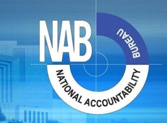 نیب ترامیم سے کس کس ملزم کو فائدہ پہنچا، رپورٹ  میں جمع